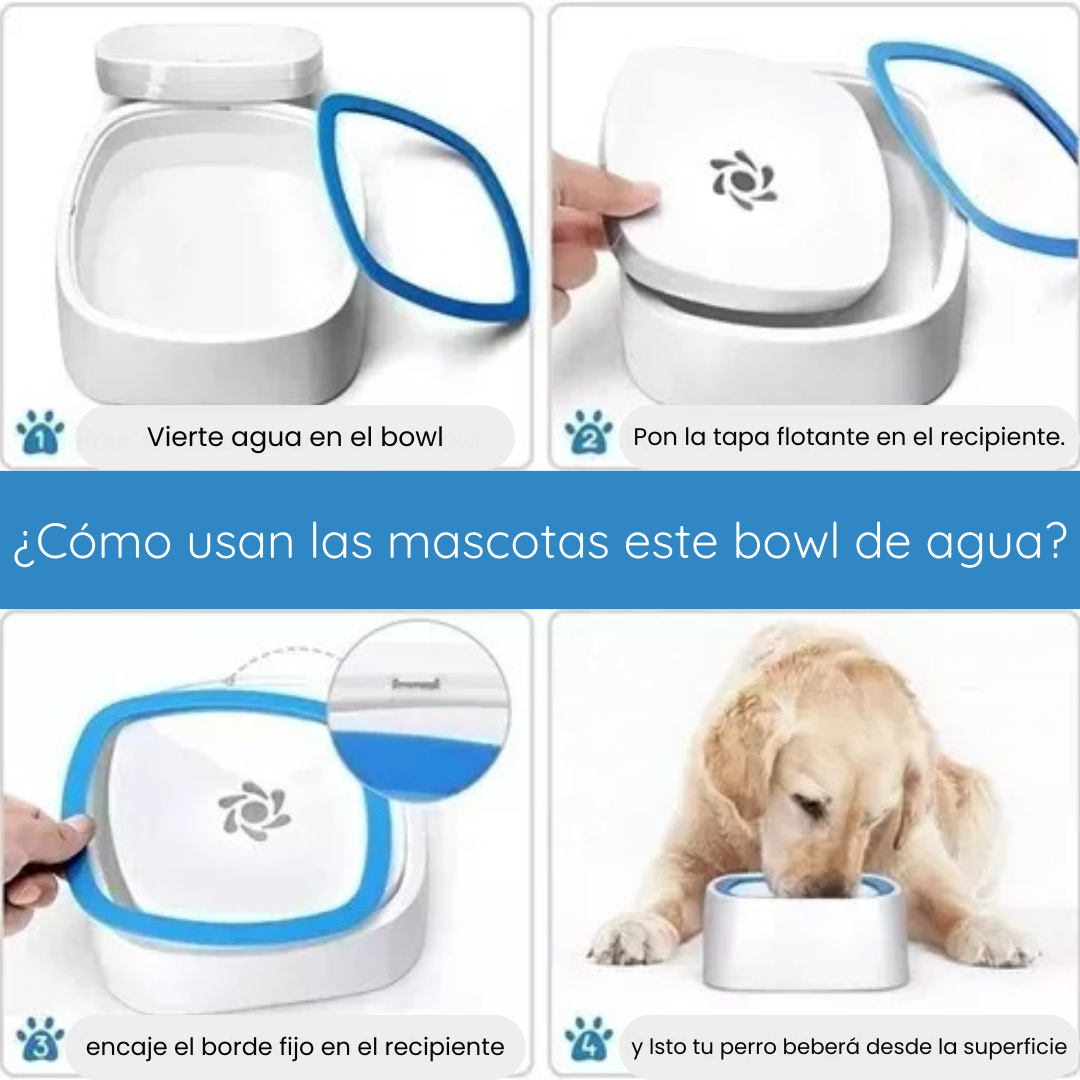 SplashPet Bowl