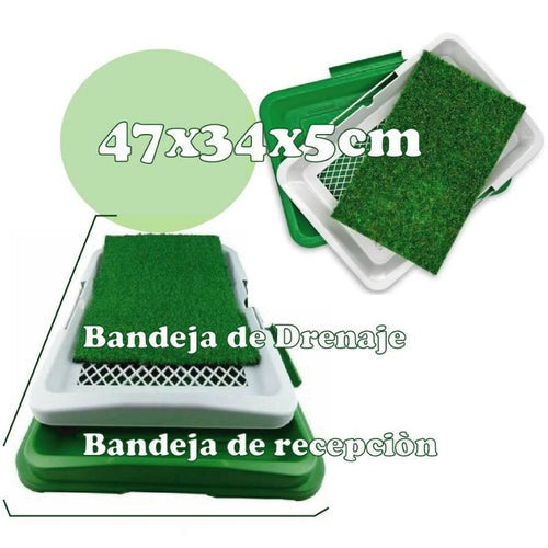 Puppy Potty pad - ecológico para perro