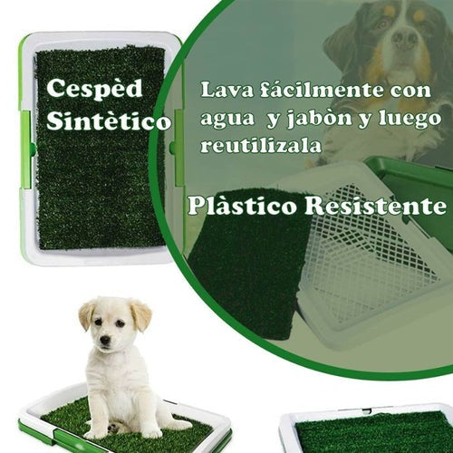 Puppy Potty pad - ecológico para perro