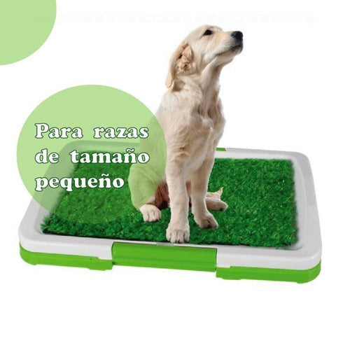 Puppy Potty pad - ecológico para perro