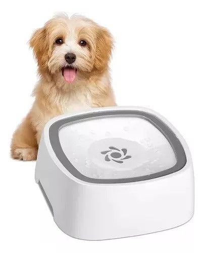 SplashPet Bowl